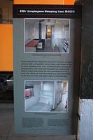 IMG 3231