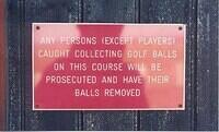 Don t go Collecting Gold Balls