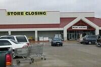 Short Term Employment