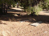 Concrete Footings West of Right of Way Looking South East ish