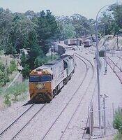 scan0020c