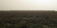 IMG 4132A