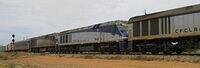 Img 1286