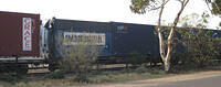 IMG 4519
