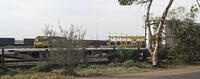 IMG 4536