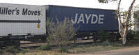 IMG 4551