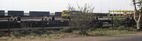 IMG 4572