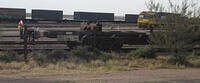 IMG 4581
