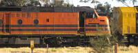 IMG 4730