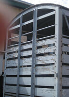 CF26 IMG 4254
