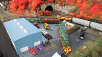 Black Springs 10