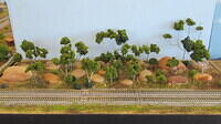 DCN T-Track 22