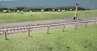 Ampney 10