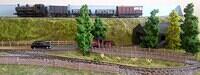 009 Narrow Gauge 04
