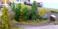 009 Narrow Gauge 05