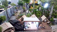Uphill Logging 10