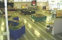 NMRI 2004 03
