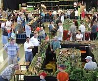 NMRI 2006 46