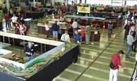 NMRI 2006 51
