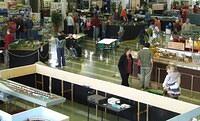 NMRI 2006 54