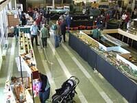 NMRI 2006 57