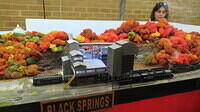 Black Springs 02