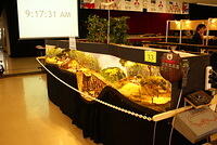 DSC04384