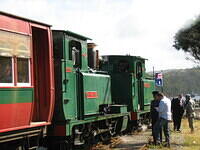 IMG 0274