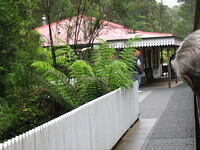 IMG 0221