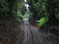 IMG 0227