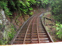 IMG 0229