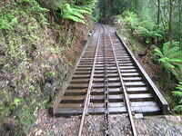 IMG 0230