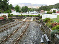 IMG 0203