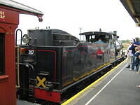 IMG 0100