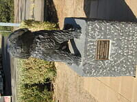 IMG 0252 001