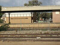 IMG 0267 001