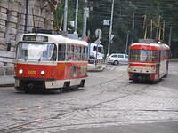 P7035538
