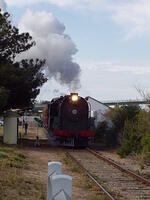 PB240009 001