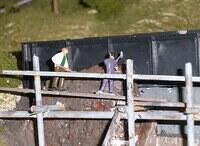 No PPE