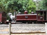 IMG 0024