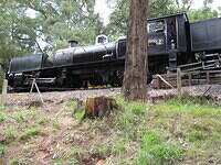 IMG 0063