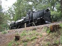 IMG 0064